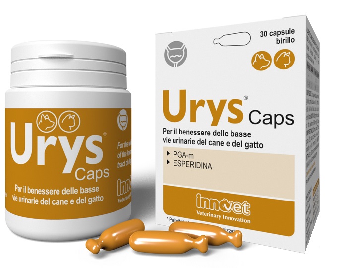URYS CAPS 30 CAPSULE - Farmacia Artemisia di Montecuollo Dott. Angelo snc
