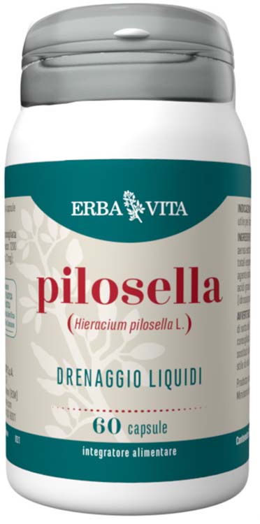 PILOSELLA 60 CAPSULE - Farmacia Artemisia di Montecuollo Dott. Angelo snc
