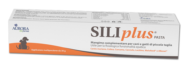 SILIPLUS PASTA 30 G - Farmacia Artemisia di Montecuollo Dott. Angelo snc