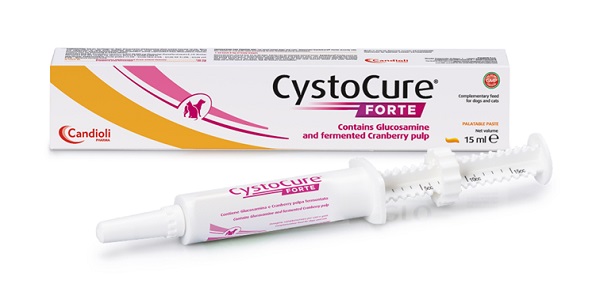 CYSTOCURE FORTE PASTA 15 ML - Farmacia Artemisia di Montecuollo Dott. Angelo snc